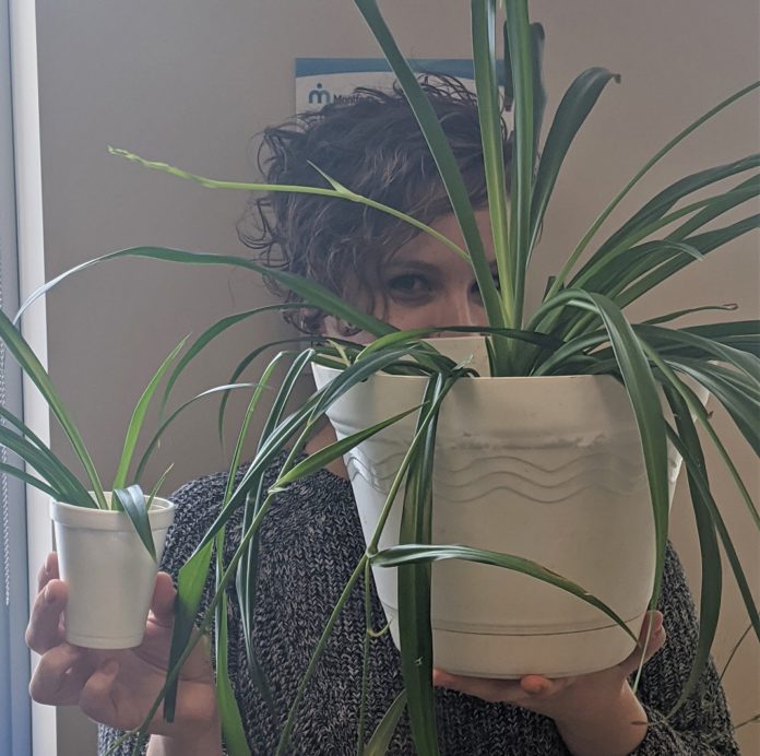 anik-plantes