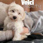 135879691_768242637442202_3802402722017796295_n