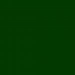 176035564_2766602433652769_2743948080436235394_n