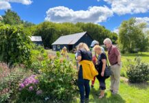 Groupe de personnes en plein air, entourant un buisson de fleurs