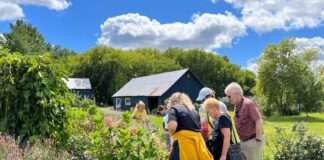 Groupe de personnes en plein air, entourant un buisson de fleurs