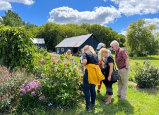 Groupe de personnes en plein air, entourant un buisson de fleurs