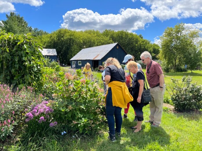 Groupe de personnes en plein air, entourant un buisson de fleurs