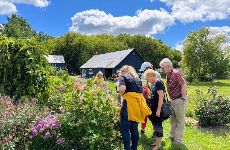 Groupe de personnes en plein air, entourant un buisson de fleurs
